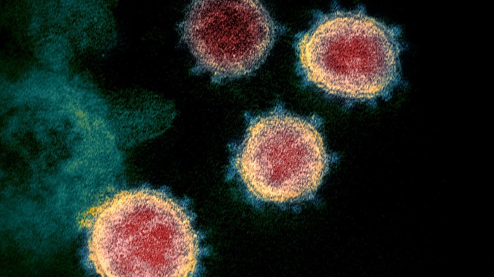 ‘Weak spot’ in virus responsible for COVID-19 could mean new treatments: researchers