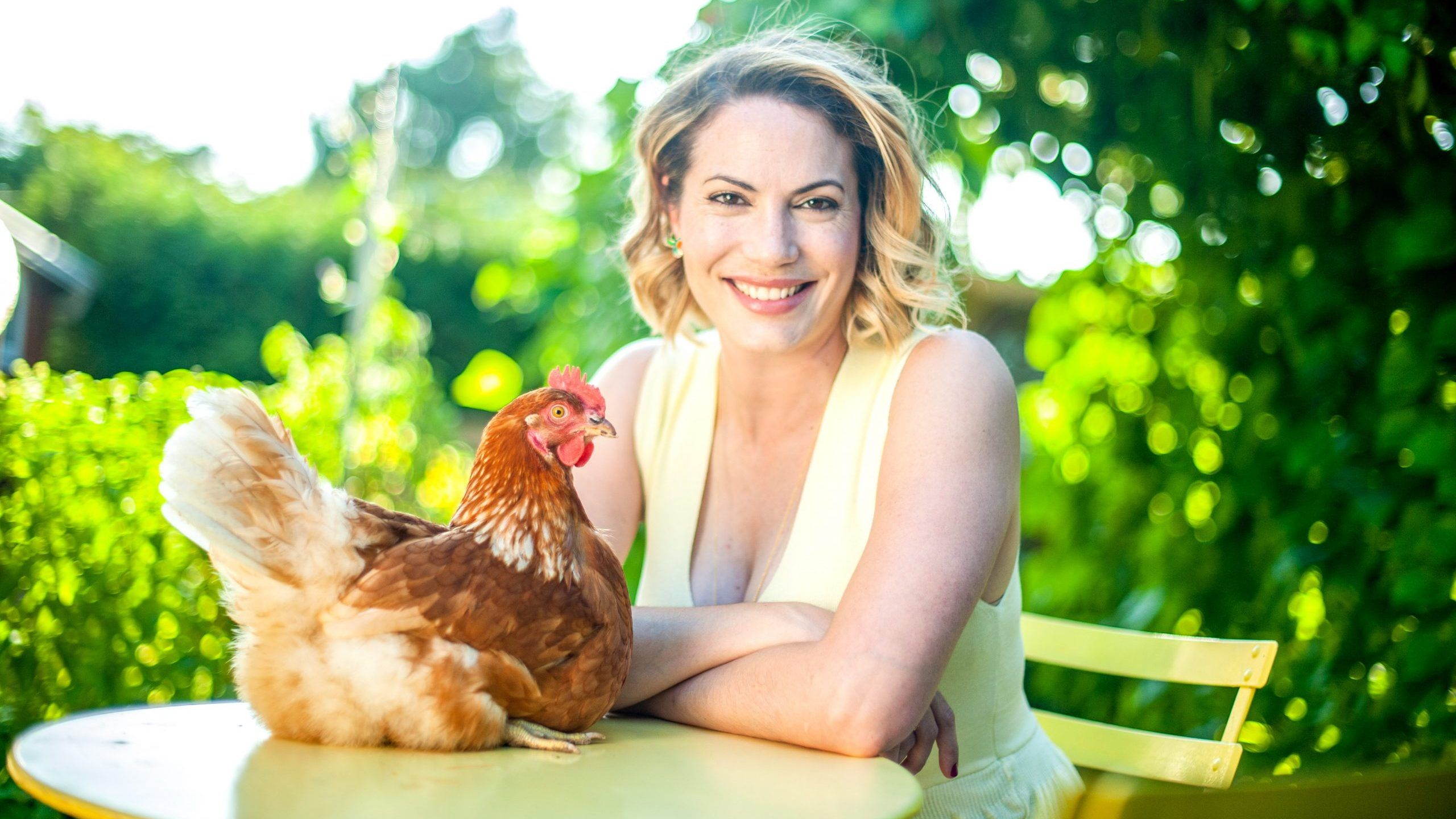 Sandra Grilo started her blog, Chickens in the Six, to answer some common questions about caring for urban chickens. Source: Chickens in the Six