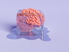 brain inside an ice cube