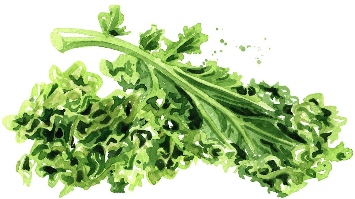 The Problems with Eating Kale