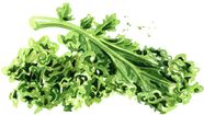 Can People With Thyroid Disorders Eat Kale Calgary Herald