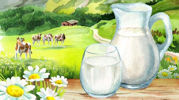 Is drinking cow's milk good for you?