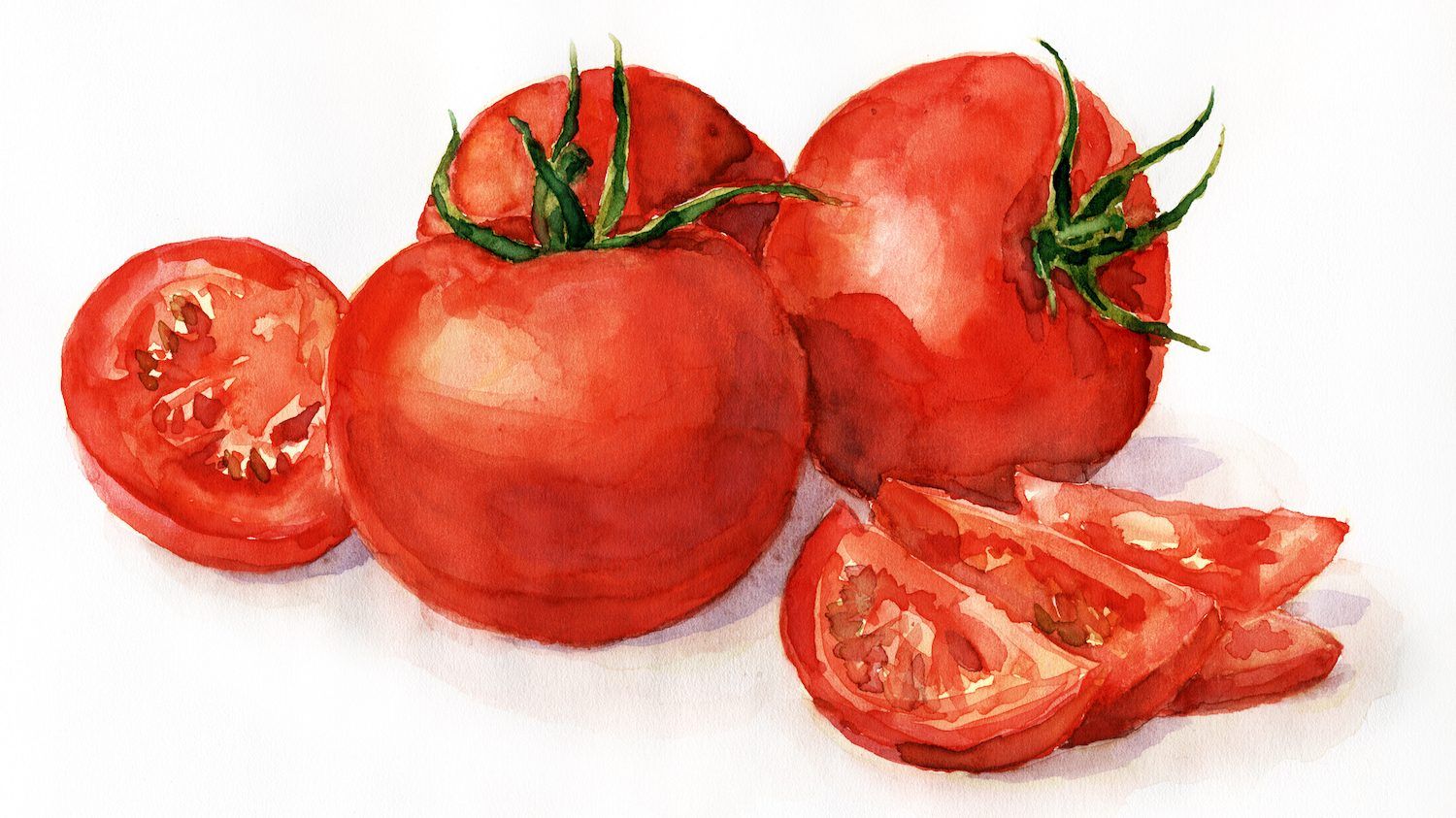 The vast majority of Canadian tomatoes (93 to 100 per cent, depending on who you ask,) are grown in southern Ontario — typically greenhouses. GETTY