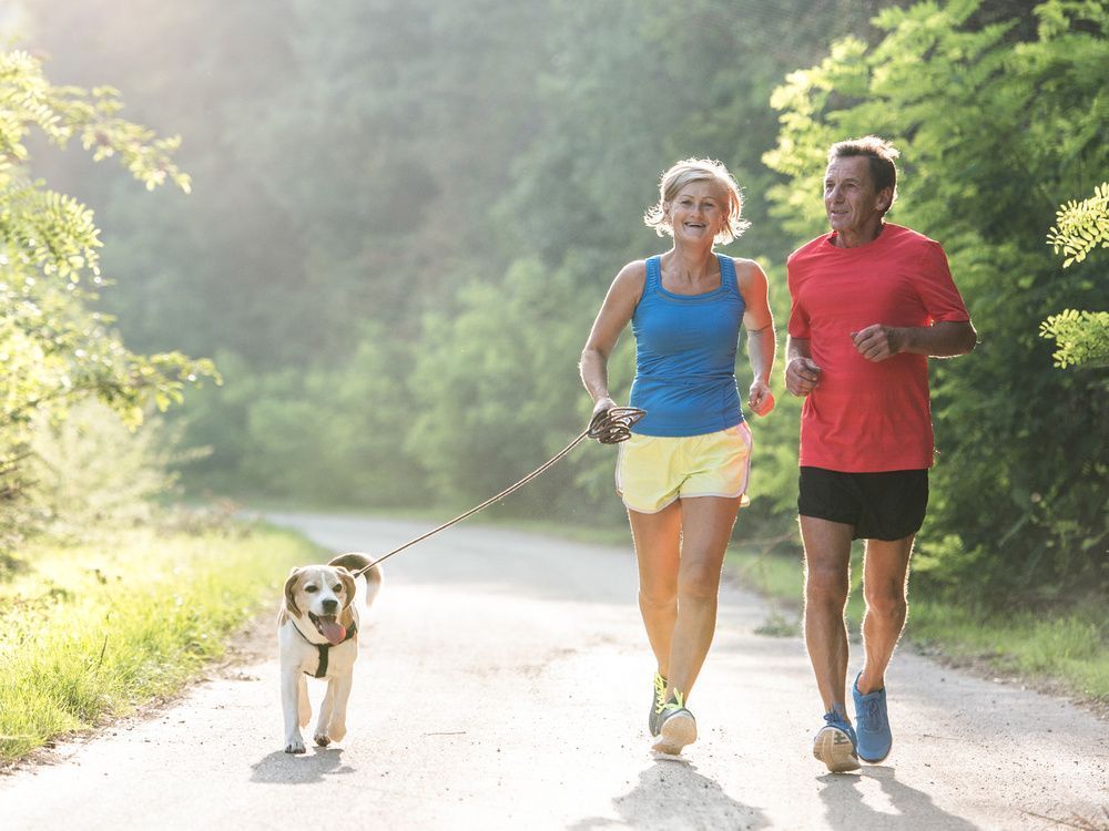 physical activity behaviours during retirement can often be linked to occupation. those in manual labour jobs tend to become more sedentary with retirement, while those who worked in an office environment become more active.