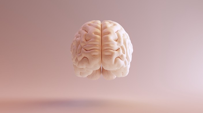 Changes in brain size were less in patients recovering from anorexia