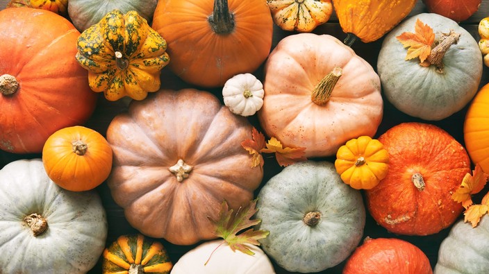 Are pumpkins good for you?