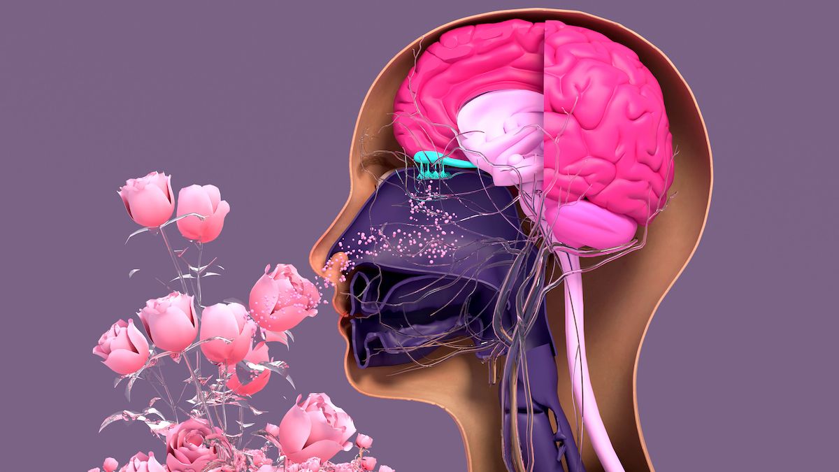 The connection between smell and memory is not quite fully understood. GETTY