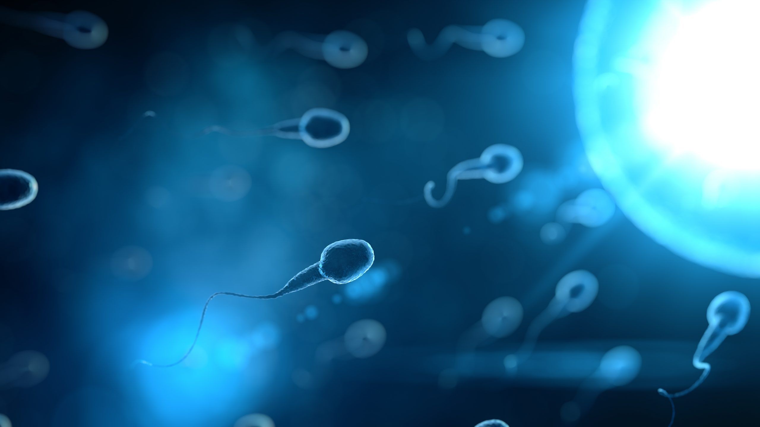 An Israeli-led study has found sperm counts have plummeted by 62% in under 50 years, and the findings have implications for the future of the human race.