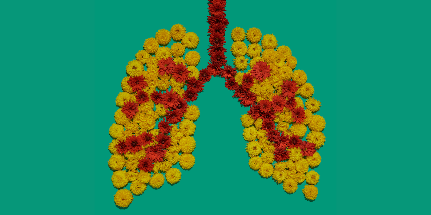 Our lungs clean toxins, bacteria and viruses out of the air that we breathe. GETTY