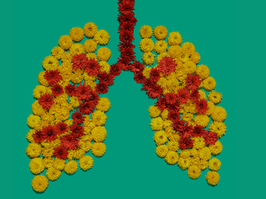 lungs-health-expert