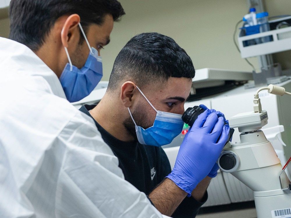 ebrahim aldalati, 23, looks at his own cells through a microscope as he and his mother falak aldalati meet with researchers at the b.c. children's hospital research institute in vancouver.