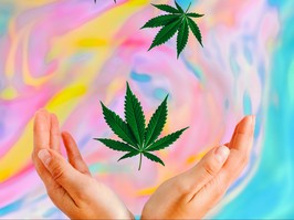 marijuana leaves fly down and fall into women's hands on a psychedelic blurred background