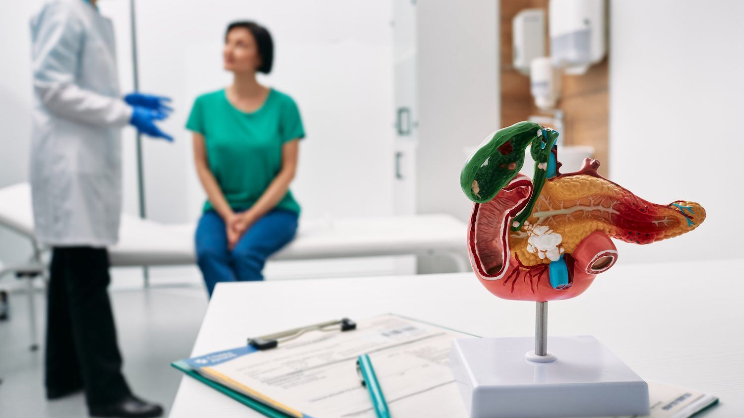 gastroenterology consultation. anatomical model of pancreas on doctor table over background gastroenterologist consulting woman patient with gastrointestinal disorders