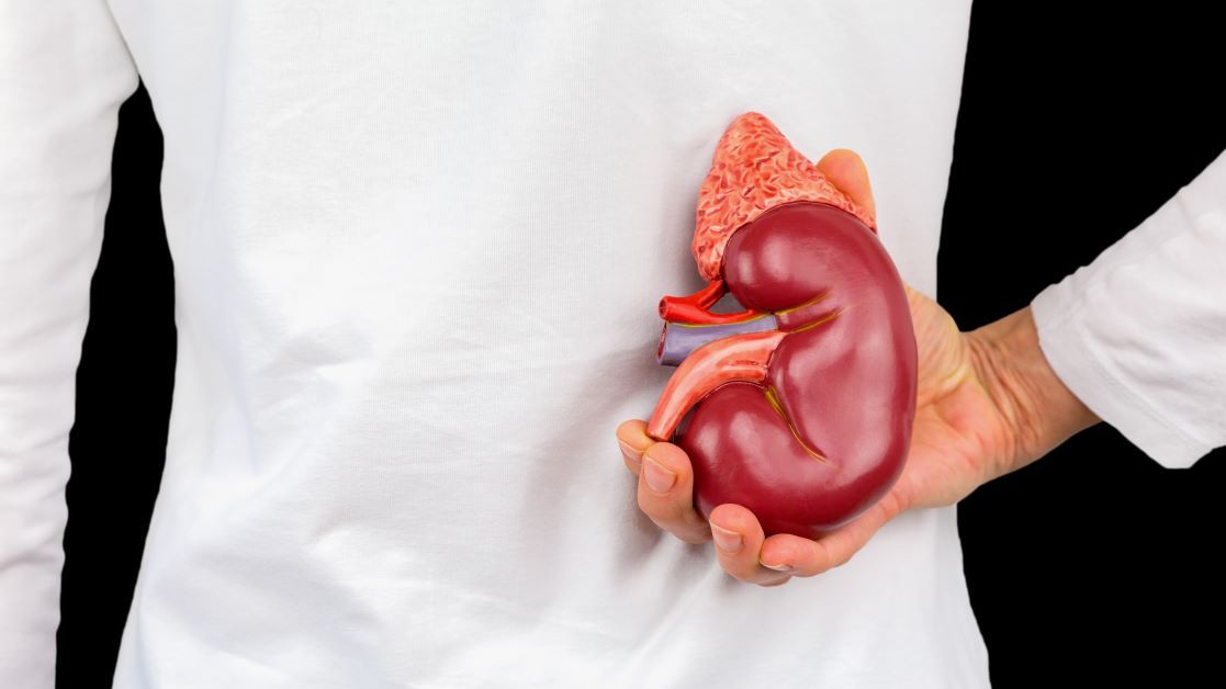 One in 10 Canadians are living with kidney disease, according to the Kidney Foundation of Canada.