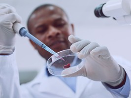 skilled scientist conducting a blood test and wearing a uniform