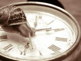 snail on top of a watch