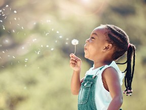 Happy little girl blowing a flower in outside. Cheerful child having fun playing and blowing a dandelion into the air in a park. Kid having fun with joy playing with a plant outdoors