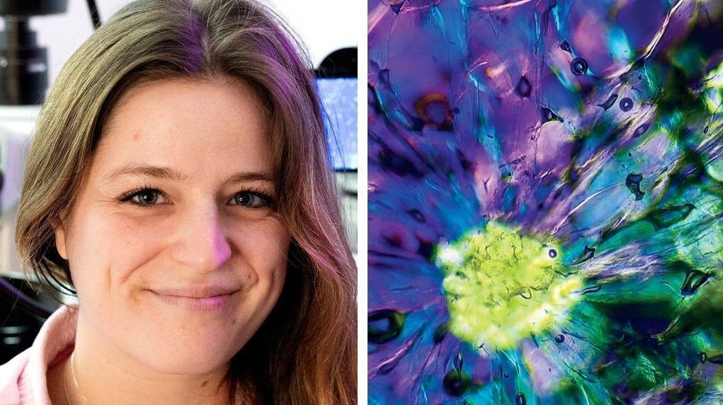 Side by side pictures of Chloé Savard and her microbiology art