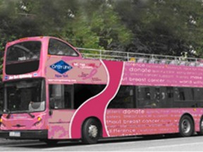 pink tour bus