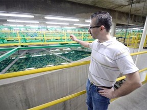 Ryan Johnson, plant manager of the Buffalo Pound Water Treatment Plant, provides a tour around the plant just outside of Moose Jaw on Wednesday.