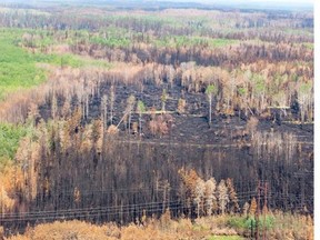 An aerial view of burned forest near Weyakwin on July 15. On Wednesday, the province was still battling 47 fires in northern Saskatchewan. THE CANADIAN PRESS/Pool/Liam Richards-The StarPhoenix