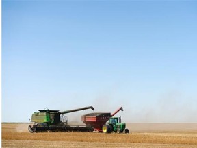 Brett Marshall and his brother Brice  combine a lentil crop south of Regina on Monday.  Brett operated the combine and Brice the grain cart. TROY FLEECE / Regina Leader-Post