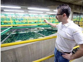 BUFFALO POUND, SK: June 3, 2015 — Ryan Johnson, plant manager of the Buffalo Pound Water Treatment Plant, provides a tour around the plant just outside of Moose Jaw on Wednesday. TROY FLEECE / Regina Leader-Post