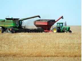 Combining a lentil crop south of Regina earlier this month.  Harvest is 16 per cent complete, says weekly crop report. TROY FLEECE / Regina Leader-Post