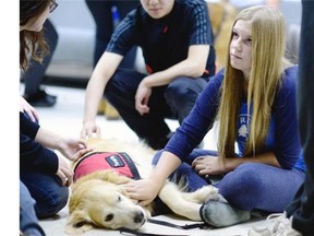 Drew Fleck, first year nursing student, pets a therapy dog at the University of Regina in Regina on Tuesday.