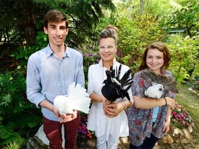 Graham Kotowich, from left, New Dance Horizons artistic director Robin Poitras and Kelsie Dueck stand in backyard that has show pigeons as part of the Secret Gardens Tour in Regina.