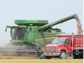 Cal Kelly was trying to beat the oncoming rain combining a lentil crop in a field north of Regina Thursday morning. Harvest is ahead of long-term average, but crop quality and yield are not. BRYAN SCHLOSSER/Regina Leader-Post