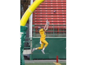 LeBoldus Golden Suns receiver Finley Easton makes a touchdown catch against the Winston Knoll Wolverines at Mosaic Stadium on Friday, Oct. 16, 2015.