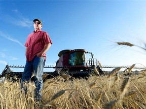 Lindsay Nobbs, a farmer, stands in his durum wheat field north of Lancer.