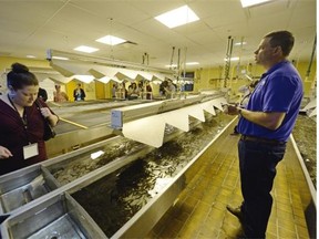 Manager Nelson Bergh conducts a tour of the Fort Qu´Appelle Fish Culture Station, which celebrated its 100th anniversary on Thursday. Bryan Schlosser/Leader-Post