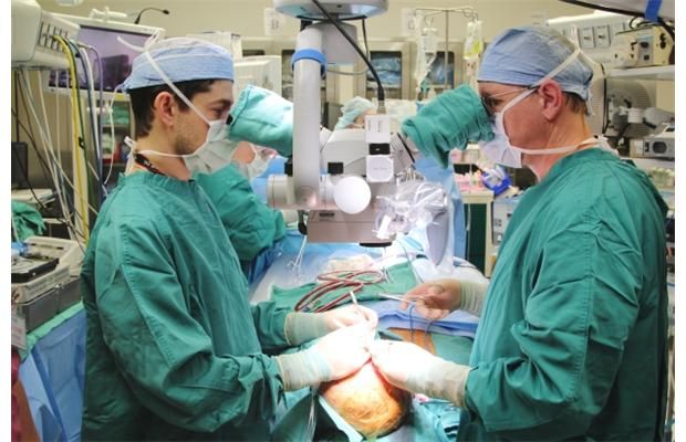 Doctor from Regina plays role in historic surgery | Regina Leader Post