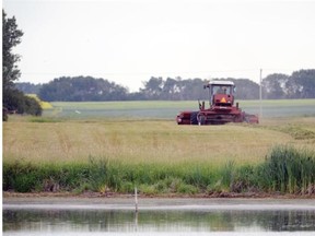 A farmer cuts a hay field north east of Regina near Balgonie July 16, 2015.