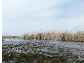 Spring runoff into the lakes, for quill lakes feature