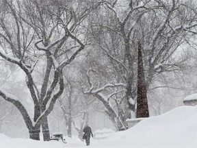 There’s little as definably Canadian as the cold, long winter. (TROY FLEECE/Regina Leader-Post)