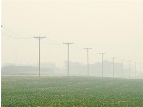 A thick layer of smoke from forest fires in the northern part of the province blanket rural areas, including this field east of Regina.