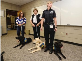 Trauma dogs and their handlers: Tara Busch (regional victim services) with Beaumont, Donna Blondeau (Moose Jaw) with Kane and Cpl. Tia Froh (Regina Police Service) with Merlot.