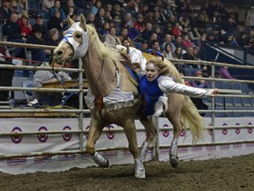 Casidy Ross, a rider with Calamity Cowgirls, performs a trick at Agribition at the Brandt Centre in Regina, Sask. on Saturday Nov. 28, 2015.
