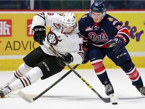 Grayson Pawlenchuk (left) of the Red Deer Rebels and Sam Steel (right) of the Regina Pats battle for the puck during a WHL game at the Brandt Centre on Nov. 13, 2015.