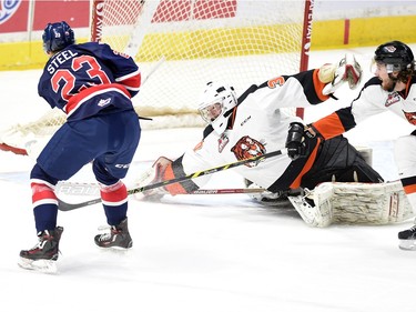 Regina Pats' Sam Steel, left, scores a short-handed goal against the  Medicine Hat Tigers' as goalie Mack Shields can't stop the puck during first period WHL action at the Brandt Centre  in Regina on Tuesday.