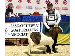 Ernie Penney, a local goat breeder, shows his livestock during the goat show at the Canadian Western Agribition in Regina on Tuesday.