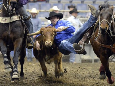 Justin Kurtz, of Coldale Alberta,  competes in Steer Wrestling at the Canadian Cowboys Association Finals Rodeo at the Canadian Western Agribition in Regina on Wednesday.