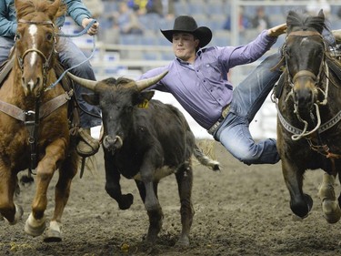 Lachlan O'Neill, of Coldale Alberta,  competes in Steer Wrestling at the Canadian Cowboys Association Finals Rodeo at the Canadian Western Agribition in Regina on Wednesday.