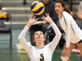 Rookie Erika Burns, shown here during Friday's game against the visiting University of Manitoba Bisons, is settling in as the starting setter with the University of Regina Cougars women's volleyball team.