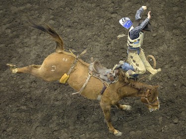 Chase Bourque goes for a wild ride on Picture Perfect in the Saddle Bronc during the Canadian Cowboys Association Finals Rodeo at the Canadian Western Agribition in Regina on Friday.