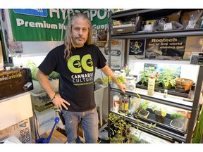 Darin Wheatley, owner of B and B Hydroponics, poses for a portrait in his shop in Regina on Tuesday. TROY FLEECE/Regina Leader-Post