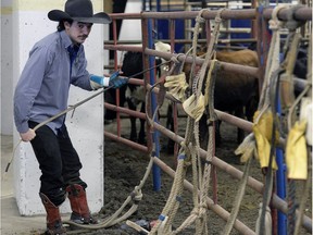 Armando Rodriguez prepares for his ride  Wednesday at the Canadian Cowboys Association Finals Rodeo, part of the Canadian Western Agribition.
